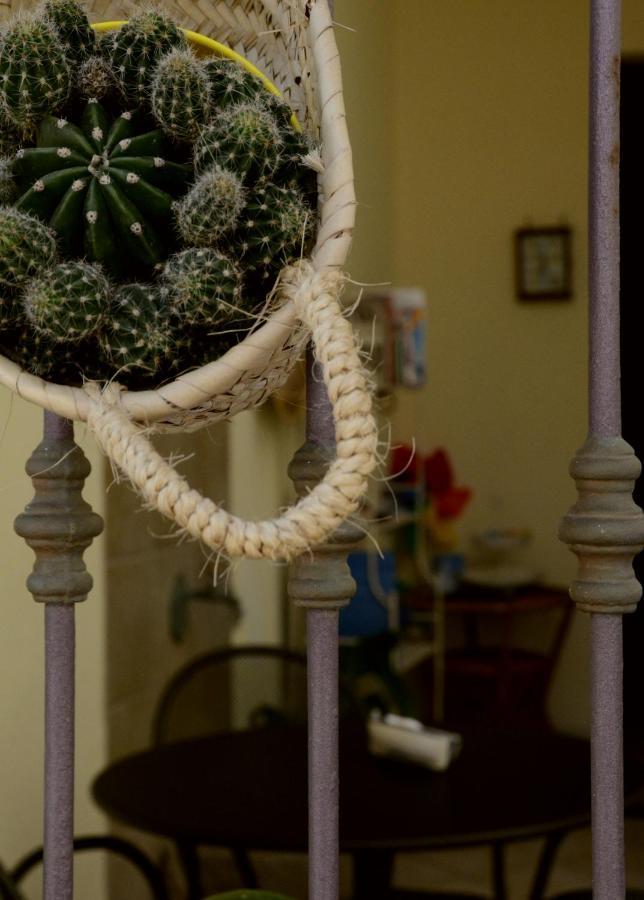 Acqua Di Mare B&B San Vito Lo Capo Eksteriør billede